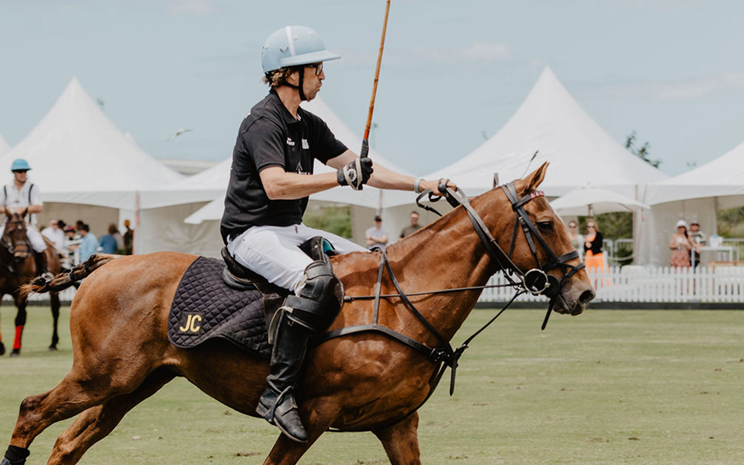 Polo in the Bay
